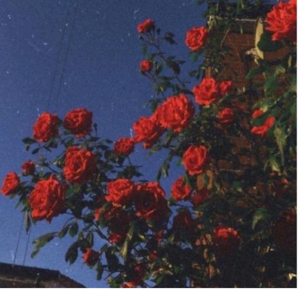 Meet your Posher, Kathleen